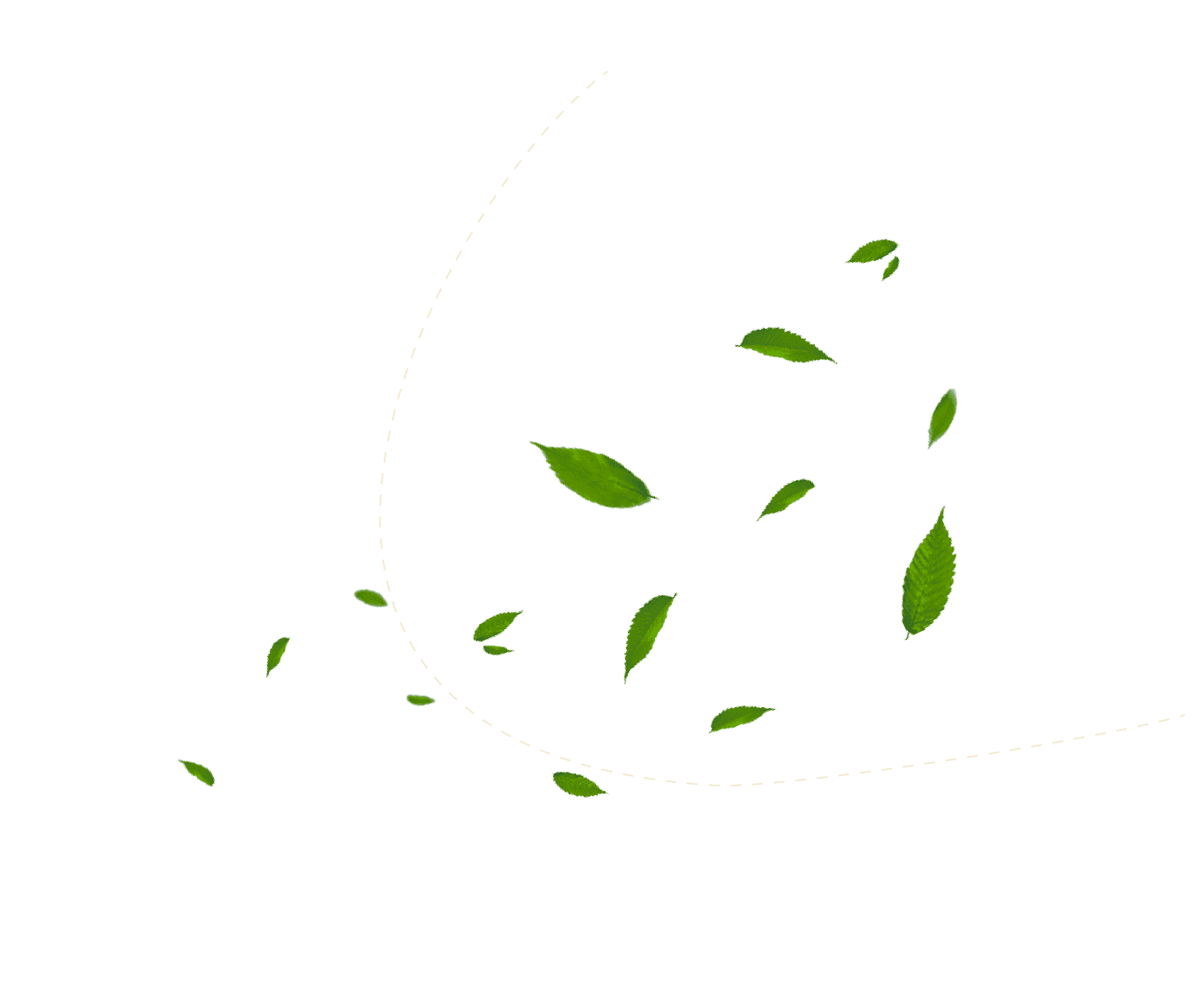 vector8